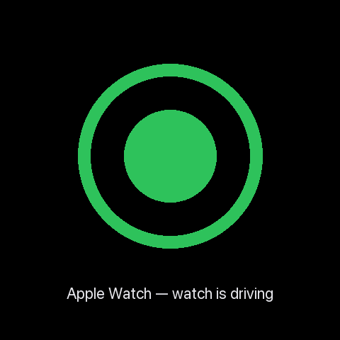 Apple Watch with watch driving — dot visible